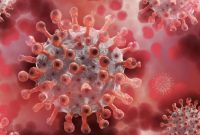 Amerika Serikat menetapkan wabah hantavirus sebagai respons darurat Level 3. Foto: Ist.