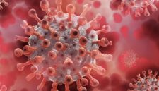 Amerika Serikat menetapkan wabah hantavirus sebagai respons darurat Level 3. Foto: Ist.