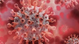 Amerika Serikat menetapkan wabah hantavirus sebagai respons darurat Level 3. Foto: Ist.
