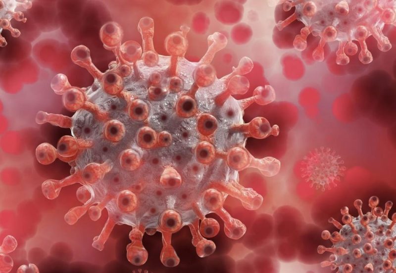 Amerika Serikat menetapkan wabah hantavirus sebagai respons darurat Level 3. Foto: Ist.