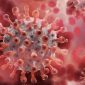 Amerika Serikat menetapkan wabah hantavirus sebagai respons darurat Level 3. Foto: Ist.