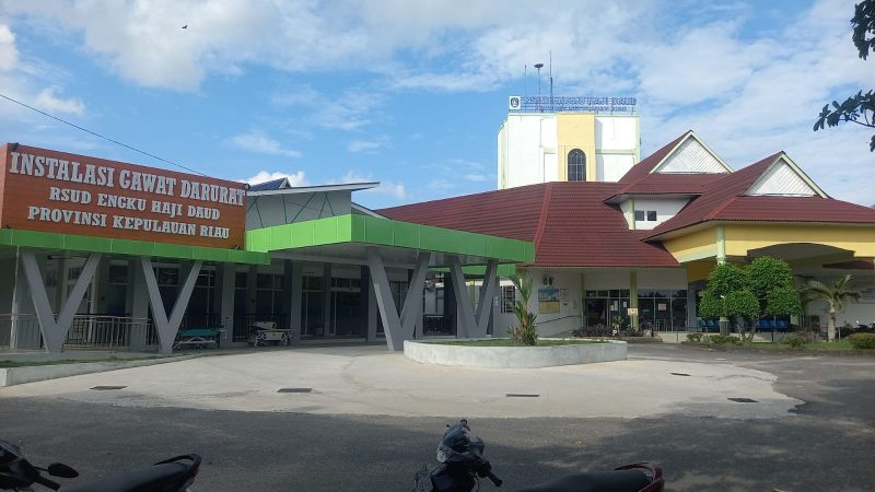RSJKO EHD Kepri berupaya profesional. Foto: Ag