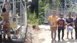 Petugas Satpol PP dan DPMPTSP Kabupaten Labuhanbatu Utara melakukan penyegelan menara telekomunikasi milik PT Protelindo di Desa Pulo Dogom, Kecamatan Kualuh Hulu, Jumat (5/6/2026). Foto: GS