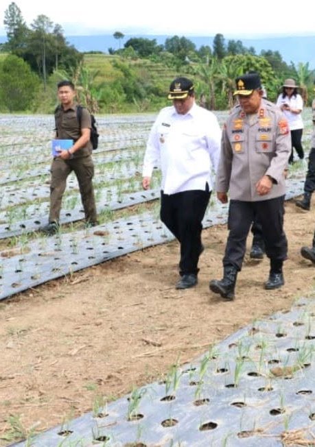Bupati Samosir Vandiko Timotius Gultom (berbaju putih) bersama Kapolda Sumatera Utara Irjen Pol. Whisnu Hermawan Februanto meninjau langsung perkembangan tanaman bawang putih di Desa Maduma, Kecamatan Simanindo, Rabu (10/6/2026). Foto: Ist.