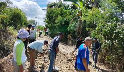 ​Gerak Cepat, Camat Sumbul Pimpin Gotong Royong Perbaiki Infrastruktur Desa Pegagan Julu V