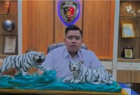 Kasat Reskrim Polres Labuhanbatu AKP Muhammad Jihad Fajar Balman, S.Tr.K., S.I.K. Foto: GS
