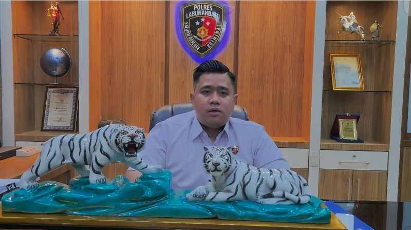 Kasat Reskrim Polres Labuhanbatu AKP Muhammad Jihad Fajar Balman, S.Tr.K., S.I.K. Foto: GS