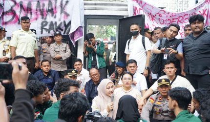 Erni Ariyanti Sitorus