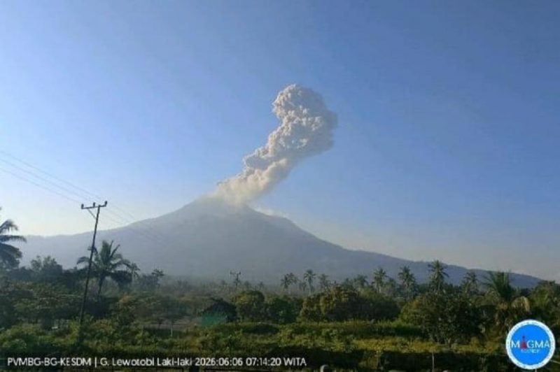 Gunung Lewotobi Laki-laki di Flores Timur, NTT, kembali mengalami erupsi pada Sabtu (6/6/2026) pagi dengan kolom abu vulkanis mencapai 1.500 meter di atas puncak. Foto: Ist.