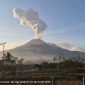 Gunung Lewotobi Laki-Laki di Kabupaten Flores Timur, Nusa Tenggara Timur (NTT), kembali erupsi pada Jumat (24/7/2026) pukul 06.39 Wita. Foto: PVMBG.