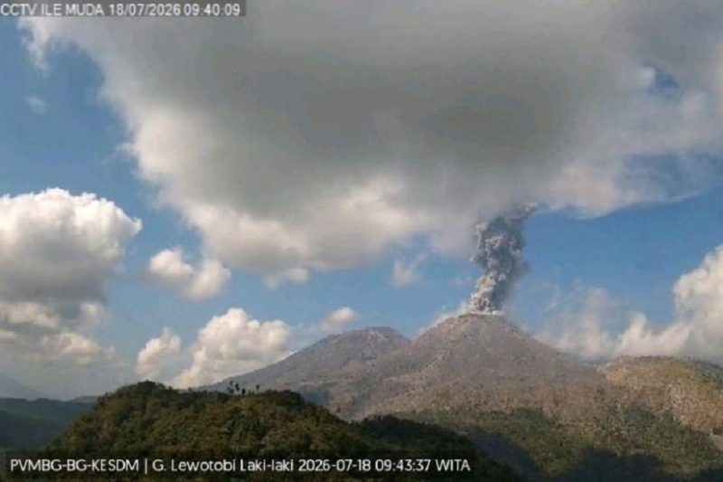 Gunung Lewotobi Laki-laki di Flores Timur kembali mengalami erupsi dengan kolom abu mencapai 1.000 meter di atas puncak, Sabtu (18/7/2026). Foto: Ist.