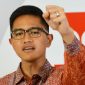 Perusahaan milik Kaesang Pangarep yakni PT Panca Mitra Multiperdana Tbk (PMMP) dikabarkan menghadapi masalah kredit macet, dan mengajukan restrukturisasi pinjaman kepada sejumlah bank setelah menghadapi tekanan likuiditas dan keterbatasan modal kerja.(ist)