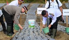 Bupati dan Kapolres Humbahas Tanam Bawang Putih Serentak. (Foto:Ist) 