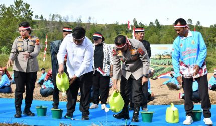 Bupati Samosir Bersama Kapolda Sumut Tanam Bawang Putih Serentak