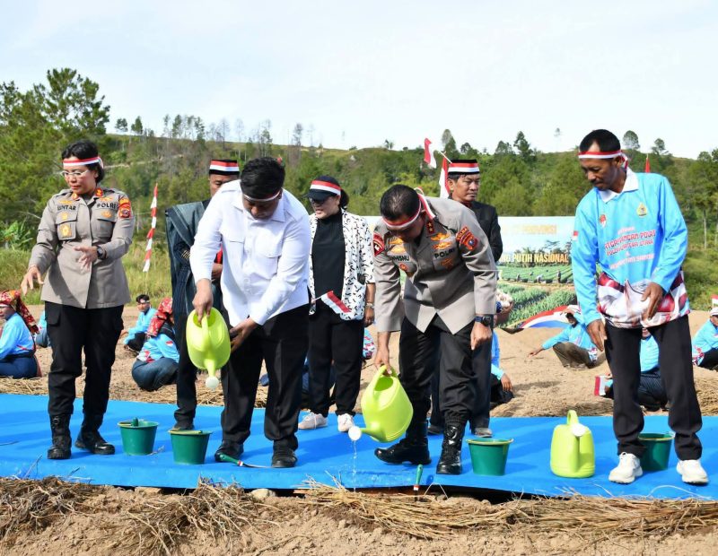 Bupati Samosir Bersama Kapolda Sumut Tanam Bawang Putih Serentak
