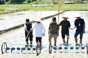 Program PM-AAS Gebrakan Baru Pertanian Samosir. (Foto:Ist) 