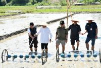 Program PM-AAS Gebrakan Baru Pertanian Samosir. (Foto:Ist) 