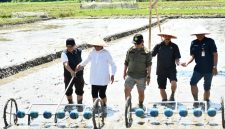 Program PM-AAS Gebrakan Baru Pertanian Samosir. (Foto:Ist)
