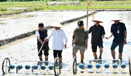 Program PM-AAS Gebrakan Baru Pertanian Samosir