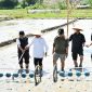 Program PM-AAS Gebrakan Baru Pertanian Samosir. (Foto:Ist) 