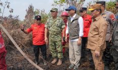 Hotspot Bergeser ke Sumatera, Menhut Raja Antoni: Data Karhutla Sangat Dinamis