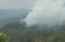 Kepulan asap tebal membumbung tinggi dari kawasan hutan Gunung Burangrang, Kecamatan Bojong, Purwakarta, Kamis (27/8/2026). Foto: Ist.