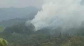 Kepulan asap tebal membumbung tinggi dari kawasan hutan Gunung Burangrang, Kecamatan Bojong, Purwakarta, Kamis (27/8/2026). Foto: Ist.