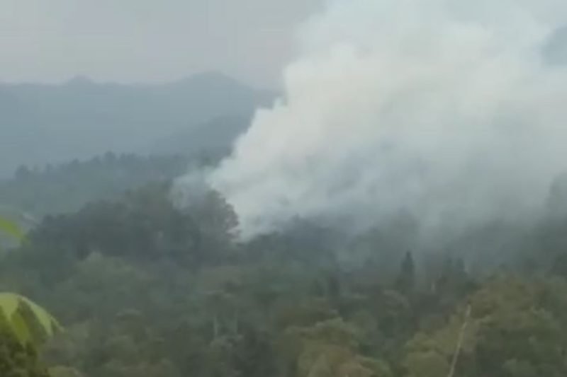 Kepulan asap tebal membumbung tinggi dari kawasan hutan Gunung Burangrang, Kecamatan Bojong, Purwakarta, Kamis (27/8/2026). Foto: Ist.