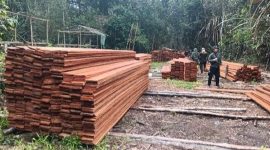 Kemenhut menindak pembalakan liar di kawasan Suaka Margasatwa (SM) Kerumutan, Riau. Foto: Ist.