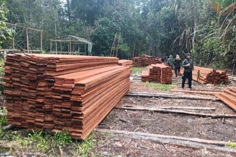 Kemenhut menindak pembalakan liar di kawasan Suaka Margasatwa (SM) Kerumutan, Riau. Foto: Ist.