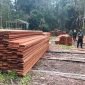 Kemenhut menindak pembalakan liar di kawasan Suaka Margasatwa (SM) Kerumutan, Riau. Foto: Ist.