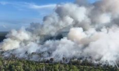Polri Tetapkan 113 Tersangka Karhutla, Riau Catat Jumlah Tertinggi