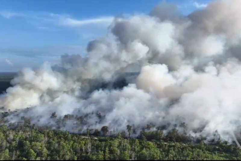 Karhutla di Riau. Foto: Ist.