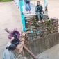 Aksi bertaruh nyawa sejumlah siswi saat menyeberangi jembatan gantung yang rusak dan nyaris putus di atas aliran sungai deras di Kecamatan Aramo, Kabupaten Nias Selatan. Foto: Ist.