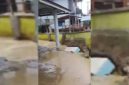 Banjir bandang merendam kawasan permukiman warga di Nagari Simpang Tonang, Kecamatan Dua Koto, Kabupaten Pasaman, Sumatera Barat, akibat luapan sungai setelah hujan deras. Foto: Ist.