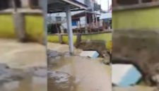 Banjir bandang merendam kawasan permukiman warga di Nagari Simpang Tonang, Kecamatan Dua Koto, Kabupaten Pasaman, Sumatera Barat, akibat luapan sungai setelah hujan deras. Foto: Ist.