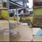 Banjir bandang merendam kawasan permukiman warga di Nagari Simpang Tonang, Kecamatan Dua Koto, Kabupaten Pasaman, Sumatera Barat, akibat luapan sungai setelah hujan deras. Foto: Ist.