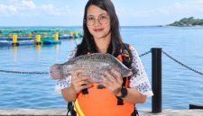 Friska Setiawani Saragih, Lake Manager Regal Springs Indonesia, menampilkan ikan tilapia hasil budidaya berkelanjutan di Danau Toba. Ia memimpin pengembangan varian KING Tilapia premium sekaligus menjaga standar kualitas air dan ekosistem agar produk Indonesia dapat bersaing di pasar global. Foto: Ist.