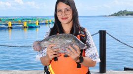 Friska Setiawani Saragih, Lake Manager Regal Springs Indonesia, menampilkan ikan tilapia hasil budidaya berkelanjutan di Danau Toba. Ia memimpin pengembangan varian KING Tilapia premium sekaligus menjaga standar kualitas air dan ekosistem agar produk Indonesia dapat bersaing di pasar global. Foto: Ist.