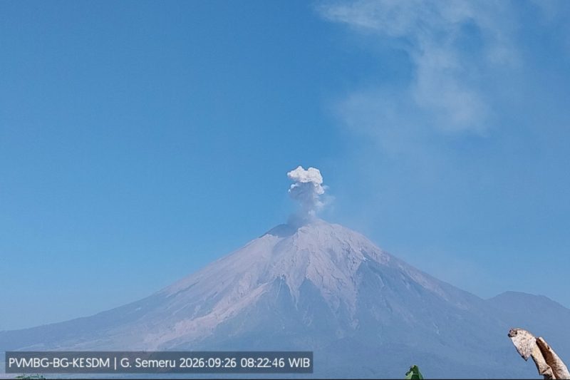 Gunung Semeru mengalami erupsi pada Sabtu (26/9/2026) pukul 08.21 WIB, memancarkan kolom abu vulkanik setinggi sekitar 700 meter ke arah timur laut. Foto: Ist.
