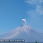 Gunung Semeru mengalami erupsi pada Sabtu (26/9/2026) pukul 08.21 WIB, memancarkan kolom abu vulkanik setinggi sekitar 700 meter ke arah timur laut. Foto: Ist.