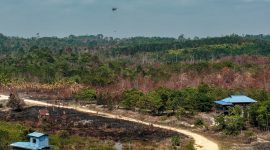 Pemerintah memperketat pengawasan dan mengerahkan seluruh kekuatan guna memadamkan titik api agar tidak meluas ke Kawasan Inti Pusat Pemerintahan (KIPP). Foto: Ist.