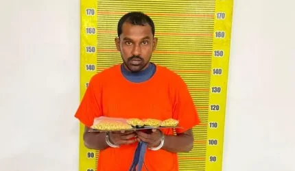 Dua Kepala Lingkungan