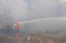 Sisa kebakaran hutan lahan di Kalimantan Barat memicu kemunculan kabut asap. Di Sumatera Utara, terdeteksi ada 14 kabupaten terpapar sebaran kabut asap. Foto: Ist.