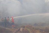 Sisa kebakaran hutan lahan di Kalimantan Barat memicu kemunculan kabut asap. Di Sumatera Utara, terdeteksi ada 14 kabupaten terpapar sebaran kabut asap. Foto: Ist.