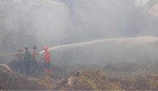 Sisa kebakaran hutan lahan di Kalimantan Barat memicu kemunculan kabut asap. Di Sumatera Utara, terdeteksi ada 14 kabupaten terpapar sebaran kabut asap. Foto: Ist.