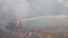 Sisa kebakaran hutan lahan di Kalimantan Barat memicu kemunculan kabut asap. Di Sumatera Utara, terdeteksi ada 14 kabupaten terpapar sebaran kabut asap. Foto: Ist.