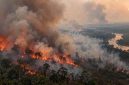 Kebakaran Hutan dan Lahan. Foto: Ist.