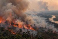 Kebakaran Hutan dan Lahan. Foto: Ist.