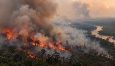 Kebakaran Hutan dan Lahan. Foto: Ist.